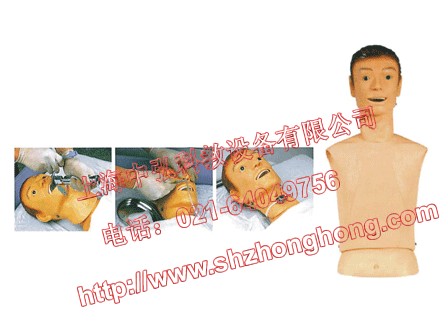 高级鼻胃管与气管护理模型，鼻饲管与气管护理模型